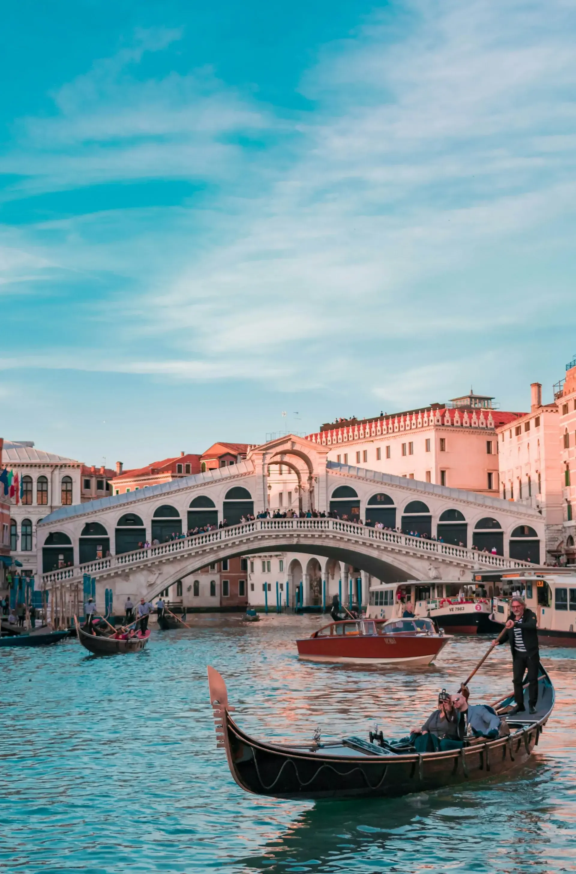 61st Venice Biennale